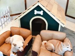 -上海崇明金茂凯悦酒店