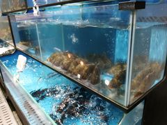 水产区-盒马鲜生(皇庭广场店)
