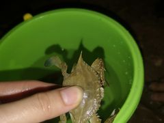 -青岛第三海水浴场