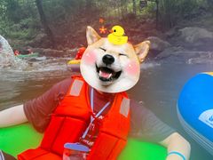 -雅鲁激流探险漂流