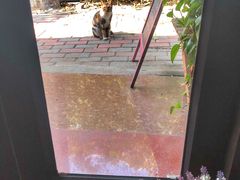 -Rabbit Cafe私房西餐甜点咖啡(栖霞路店)