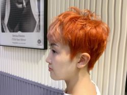 点击看大图 -PE SALON