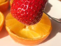 -子福慧(虹桥店)