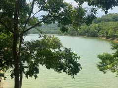 -凤岗南门山森林公园