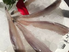 -蜀九香火锅(九眼桥店)