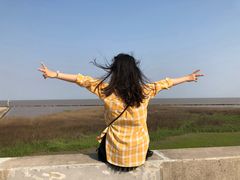 -南汇嘴观海公园