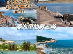 -广东惠东海龟国家级自然保护区