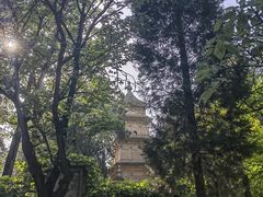 -兴教寺