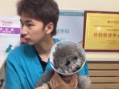 -瑞派宠物医院·24h·骨外科·皮肤科·全科宠物医疗转诊中心(沈阳浑南院)