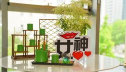 -碧莲盛·脱发养发中心