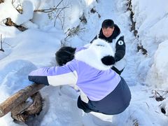 -峡谷浮石林景区