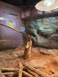 -Zoolung Zoolung动物主题公园(海信广场店)