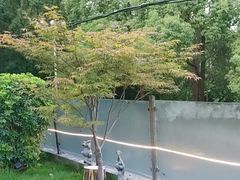 -树厨贵州菜(铜仁花果山店)
