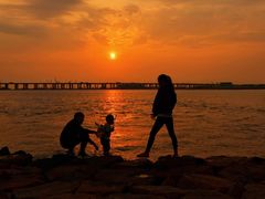 -宝安西湾红树林湿地公园