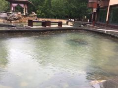-金水鹤温泉国际酒店