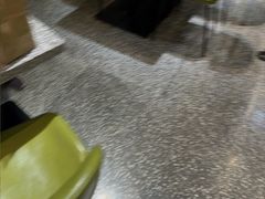 -油梨树AVOCADO TREE(嘉里中心店)
