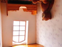 -金山农民画村-枫泾波兰倒置屋