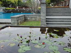 -三亚海棠湾万丽度假酒店