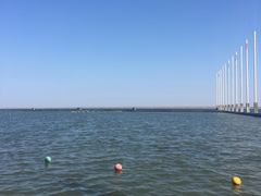 -碧海金沙