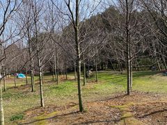 -东湖落雁景区
