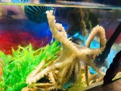 -V-ONE西雅图海鲜自助餐厅(仓山万达广场店)