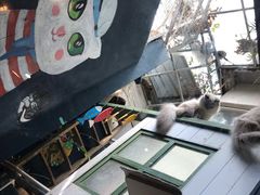 -猫咪博物馆(顶澳仔猫街店)