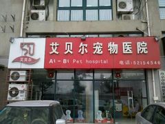 -艾贝尔宠物医院·24H转诊中心·肿瘤猫专科(江宁双龙店)