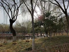 -丰台科技园生态主题公园