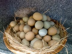 -恒生商业广场(上丰店)