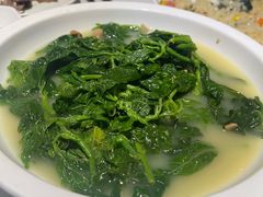 -香港深井掂檔烧鹅茶餐厅(海韵城店)