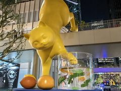 -深圳湾万象城(南山店)