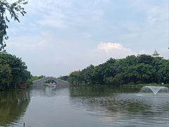 -映月湖公园