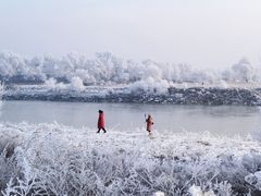 -雾凇岛
