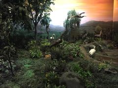 -陕西自然博物馆