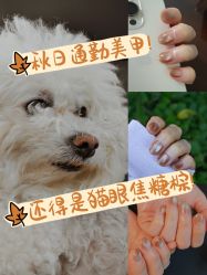 -Pink You美甲洗眉纹绣定制中心