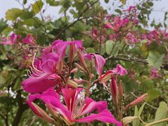 -水濂山森林公园