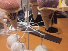 -野人先生现做冰淇淋(北京环宇荟店)