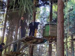 -武陵山森林公园