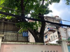 -严氏重油烧麦(民权路店)