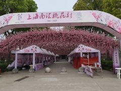 -南汇桃花村
