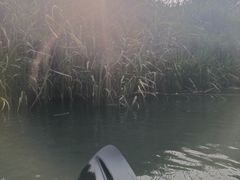 -动邦皮划艇·桨板·独木舟·团建户外运动俱乐部