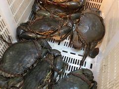 -龙海鲜螃蟹王(宏茂桥店)