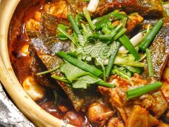 -金龙·打边炉(南京西路店)