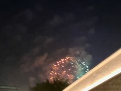 -迪士尼乐园停车场