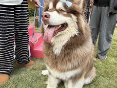 -上海神旺大酒店