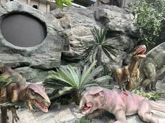 -国家自然博物馆