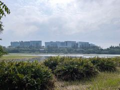 -华侨城湿地公园