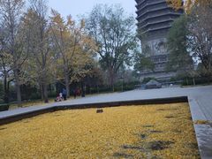 -玲珑塔公园