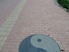 -特克斯八卦城