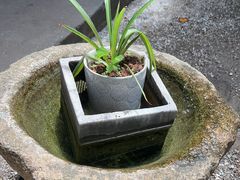 -山也·私厨(岳麓店)